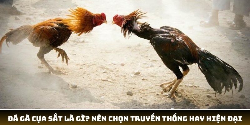 Đá gà cựa sắt là gì