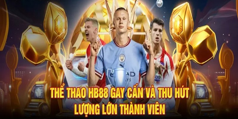 Giới thiệu sơ lược về sân chơi thể thao HB88